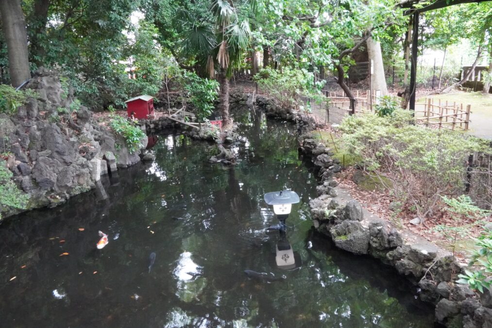 世田谷八幡宮 末社 厳島神社 池