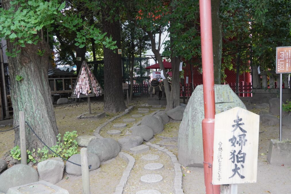 浅草神社 夫婦狛犬