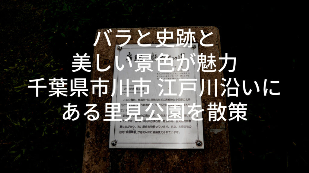 バラと史跡と美しい景色が魅力｜千葉県市川市 江戸川沿いにある里見公園を散策